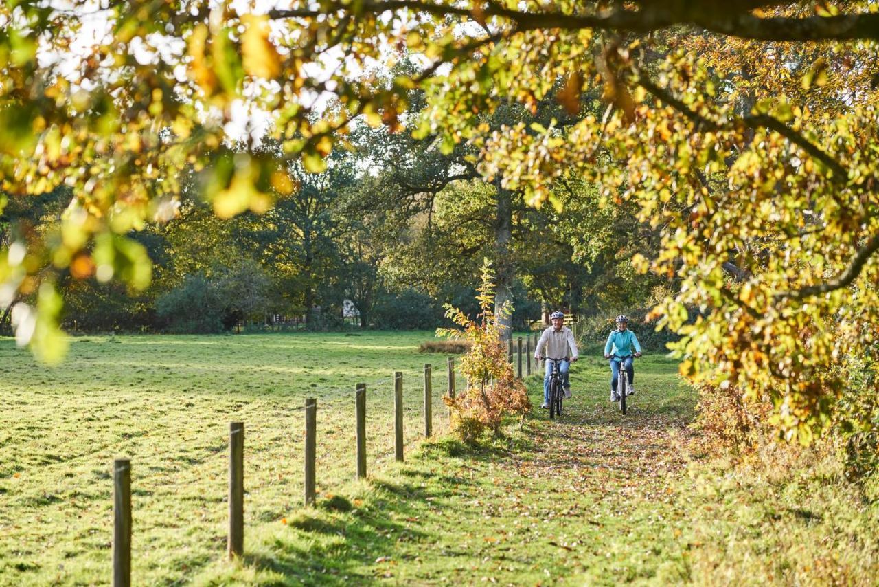 Whitemead Forest Park Hotel Lydney Luaran gambar