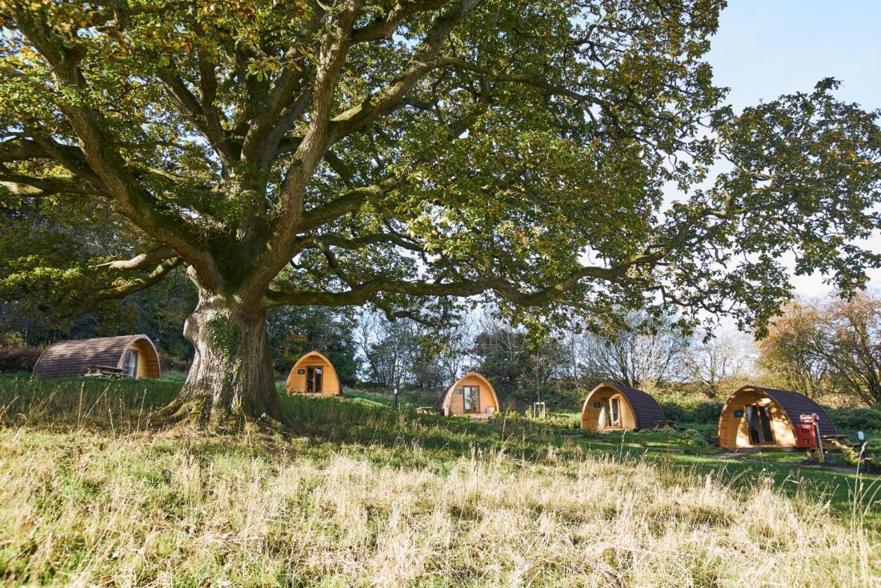 Whitemead Forest Park Hotel Lydney Luaran gambar